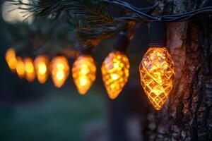 Glowing string lights hanging on a pine tree at dusk photo