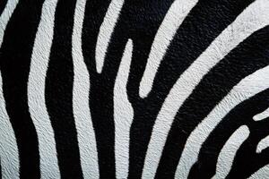 Close-up view of vibrant zebra stripes showing unique pattern photo