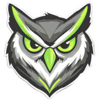 Fierce owl portrait on transparent background png