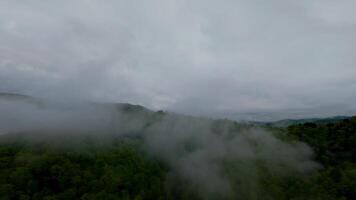 Aerial view of lush green forested mountains shrouded in mist and low-hanging clouds under a moody overcast sky, creating a serene and mysterious natural landscape. video