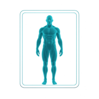 3D Body Scan Display with Simple Composition for Educational Use png