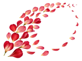 Beautiful petals of freesia flowers create stunning trail of color and elegance in this captivating image png