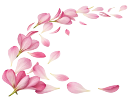 Beautiful pink freesia flowers gracefully scatter across transparency background, creating serene and elegant atmosphere png