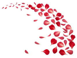 Beautiful red rhododendron flower petals gracefully scatter in delicate dance, creating stunning visual of nature elegance png