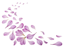 Delicate rhododendron flower petals gracefully scatter, creating beautiful and serene visual effect that evokes tranquility and nature charm png