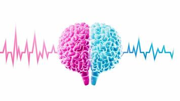 The human brain and brain waves with alpha channel, brain consciousness and thinking, 3d rendering. video