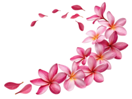 Beautiful arrangement of plumeria flowers in shades of pink, creating lovely floral design with delicate petals scattered around png