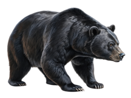 Powerful bear stands confidently in market, showcasing its strength and presence in vibrant setting png