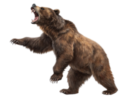 Fierce bear stands tall in powerful pose, showcasing its strength and wild nature in vibrant market setting png