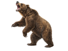 Fierce bear stands tall in market scene, showcasing its strength and wild nature. atmosphere is charged with excitement and energy png