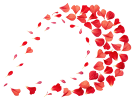 Beautiful red flower petals create stunning visual display, evoking feelings of romance and nature elegance png