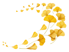 Beautiful yellow nasturtium flowers create stunning visual display as they gracefully scatter in flowing pattern png