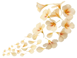 Nasturtium flowers create beautiful cascade of delicate petals showcasing their vibrant colors and intricate patterns png