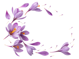 Saffron flower petals create stunning display of vibrant purple hues, showcasing nature beauty and elegance in delicate arrangement png