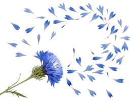 Beautiful thistle flower with vibrant blue petals is surrounded by swirling pattern of delicate petals, creating serene and enchanting scene png