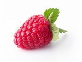 A red raspberry with a leaf on top photo