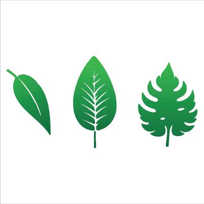 Natural Leaf Elements from the Tropics
