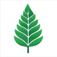 Stylish Tropic Leaves for Design vector