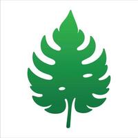 Monstera and Palm Leaf simple flat vector