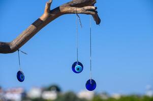 Beautiful blue talismans swinging gently from a branch under a clear sky in a serene coastal setting photo