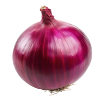 A red onion isolated on a transparent background png