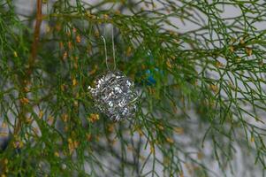Sparkling decorative ornament hangs delicately from lush greenery in a serene indoor setting photo