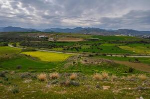 Lush green fields stretch across rolling hills under a cloudy sky in a scenic photo