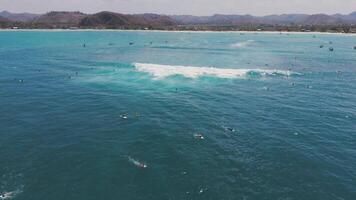 Aerial view of surfers paddling in clear turquoise ocean waves video