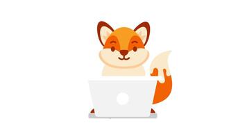 Animated fox using laptop, talking and smiling on white and green screen video
