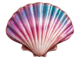 Colorful shell with shimmering hues for beach decor and design png