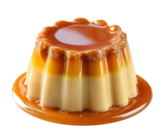 Flan dessert with caramel sauce on a plate png