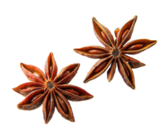 Star anise spice enhances flavor in cooking and baking png