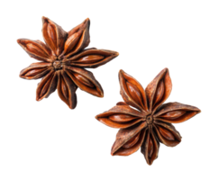 Star anise spice with unique floral shape for culinary use png