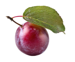 Fresh red plum with green leaf on a clean surface png
