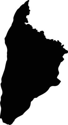 Carmen De Apicala Colombia silhouette map