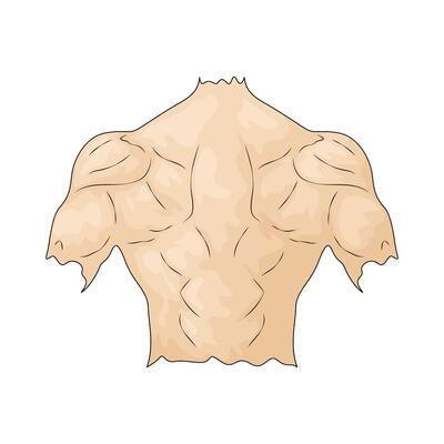 man's back illustration
