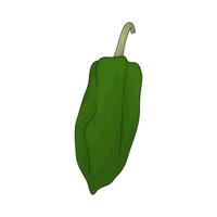 Vegetable named poblano pepper vector