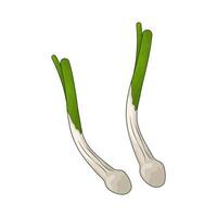 Vegetable named leek illustration vector