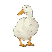 illustration of duck vector