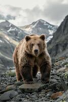 Majestic grizzly bear roaming through rocky mountain terrain under a cloudy sky photo