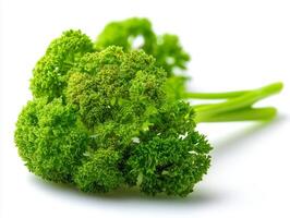 fresh Parsley bundle on isolate white background photo