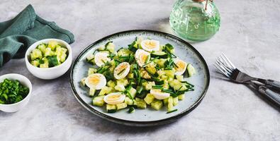 Fresh salad of cucumbers, quail eggs and green onions on a plate on the table web baanner photo