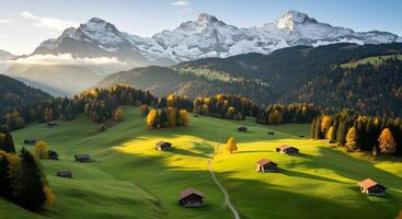 Mountain Landscape with Cottages and Forest photo
