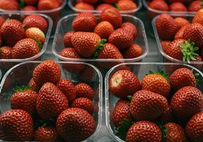 Fresh Strawberries in Plastic Packaging photo
