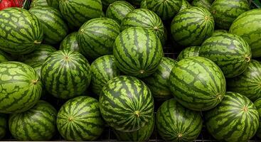 Heap of Striped Watermelon photo