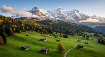 Mountain Landscape with Green Fields and Cabins photo