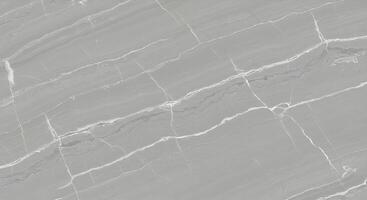 Grey Marble Slab with White Veins photo