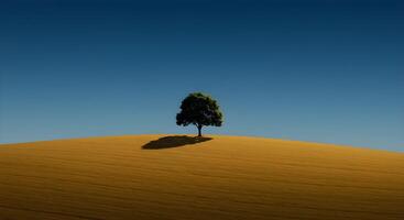 Lone Tree on Hill Under Blue Sky photo