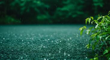 Rain Falling on Water Surface with Bush photo