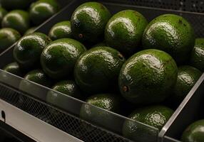 Fresh Avocado in Metal Container photo